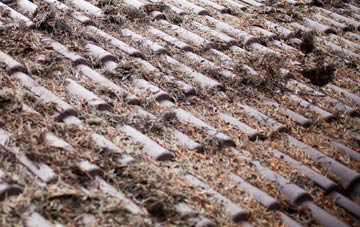 Trwstllewelyn roof cleaning companies